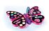 Immagine di Crazy Chic - Butterfly Beauty Set