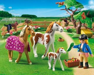 Immagine di Recinto con Cavalli e Pony