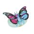 Immagine di Mariposa Magiche Farfalle