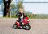 Immagine di Moto Ducati Mini 2014