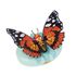 Immagine di Mariposa Magiche Farfalle