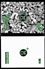 Immagine di Diario Pocket Bastardidentro