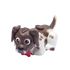 Immagine di Pet Parade Cani