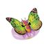 Immagine di Mariposa Magiche Farfalle