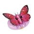 Immagine di Mariposa Magiche Farfalle