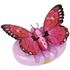 Immagine di Mariposa Magiche Farfalle