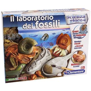 Immagine di Il Laboratorio Dei Fossili