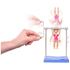 Immagine di Barbie Allenatrice di Ginnastica