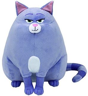 Immagine di Gatto Chloe