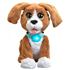 Immagine di Fur Real Friends Charlie