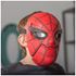 Immagine di Spiderman Maschera Deluxe