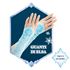 Immagine di Pasqualone Frozen 2018