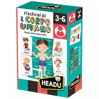 Immagine di Flashcards Il Corpo Umano (it24551)
