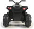 Immagine di Boxer Quad Elettrico Per Bambini