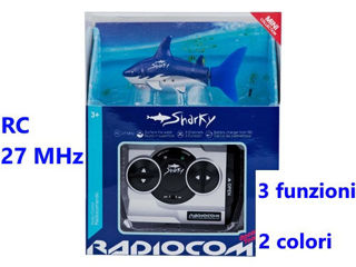 Immagine di R/c Sharky