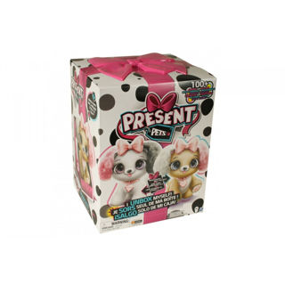 Immagine di Present Pets Fancy