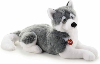 Immagine di Husky Marcus Cm 60