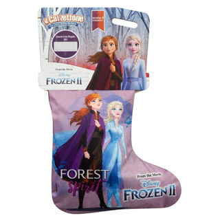 Immagine di Calzettone Frozen '21