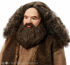 Immagine di Harry Potter Wizarding - Rubeus Hagrid