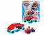 Immagine di Paw Patrol Paw Patroller E Ryder Die Cast