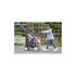 Immagine di Passeggino Gemellare Bb Comfort