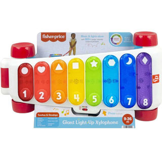 Immagine di Xilofono Gigante Fisher Price Hjk38