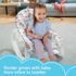 Immagine di Fisher-price Infant-to-toddler Ralax-swing Rainbow Plan
