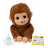 Immagine di Little Live Pets My Baby Monkey
